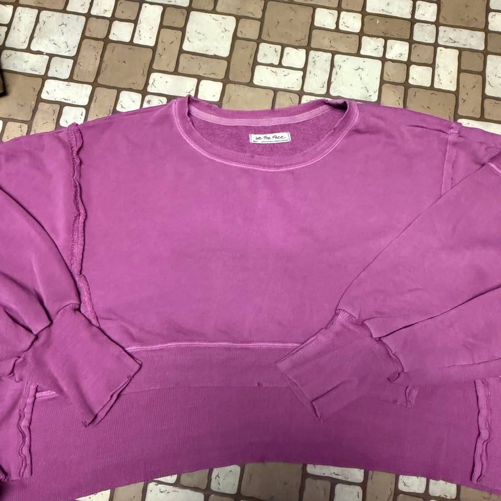 We The Free Pink Crewneck Sweatshirt